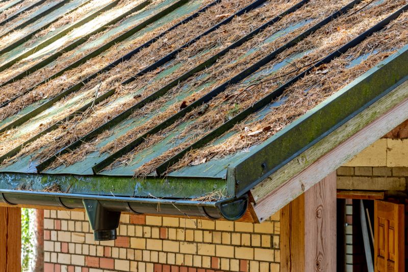 Gutter Pine Needle Removal in Long Island, NY