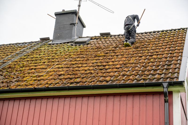 Gutter and Roof Cleaning